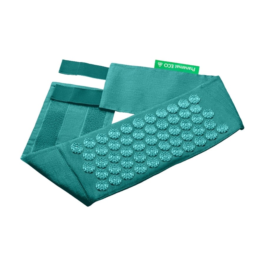 Pranamat Pas (turkizna)